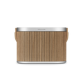 Beosound A5