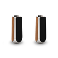 Beolab 50